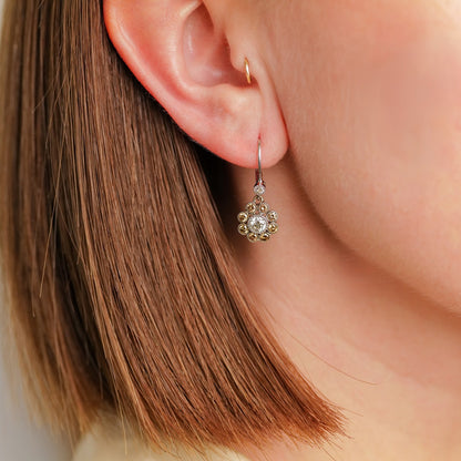 Rosetta Champagne Diamond Drop Earrings